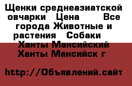 Щенки среднеазиатской овчарки › Цена ­ 1 - Все города Животные и растения » Собаки   . Ханты-Мансийский,Ханты-Мансийск г.